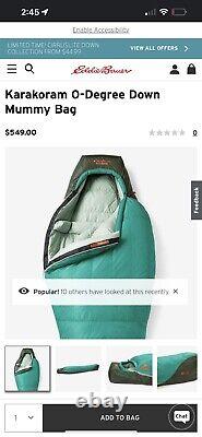 Eddie bauer down sleeping bag