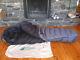 Mec Asgaard/marmot Comparable -5 Degree Gore Windstopper Down Sleeping Bag