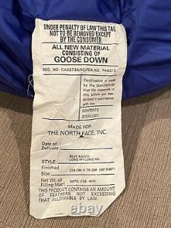 Northface blue kazoo goose down sleeping bag